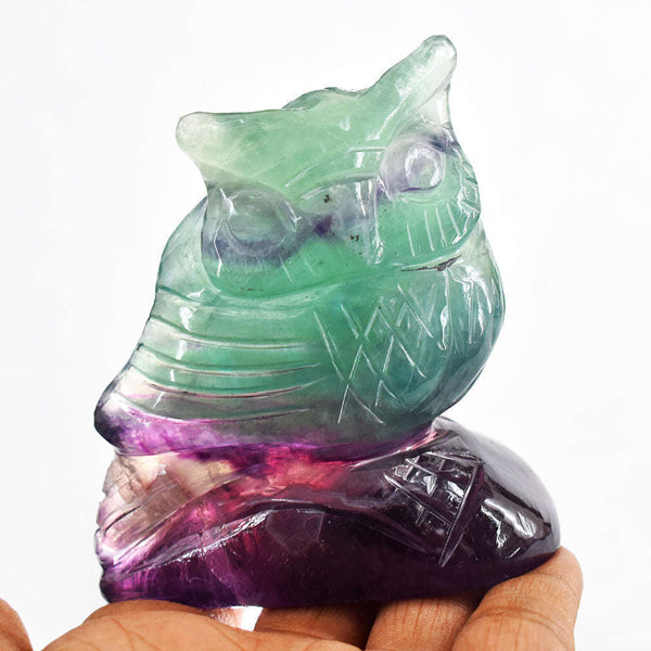 gemsmore:Gorgeous 1367.00 Cts  Multicolor Fluorite Hand Carved Crystal Owl Gemstone Carving