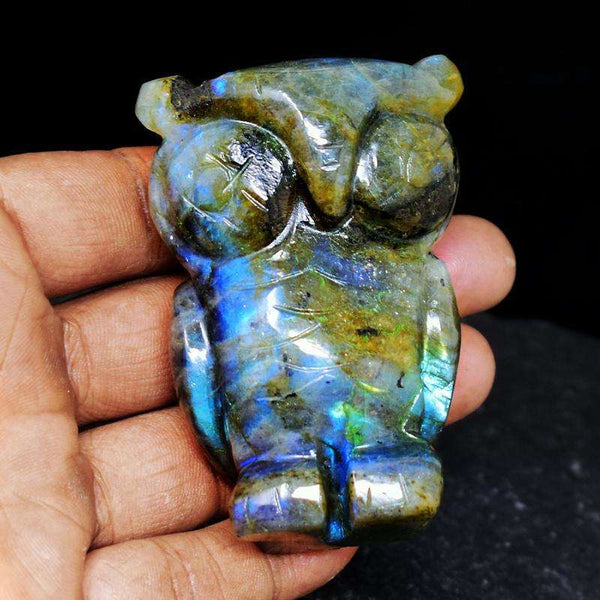 gemsmore:Amazing Blue Flash Labardorite Carved Owl