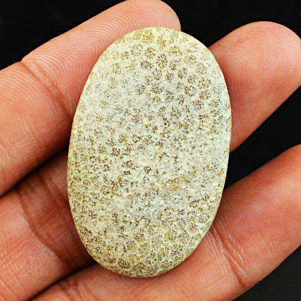 gemsmore:Amazing Coral Fossil Oval Shape Loose Gemstone