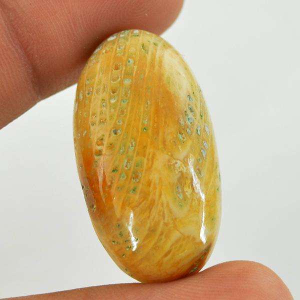 gemsmore:Amazing Coral Fossil Oval Shape Loose Gemstone