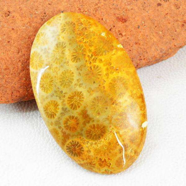 gemsmore:Amazing Coral Fossil Oval Shape Loose Gemstone