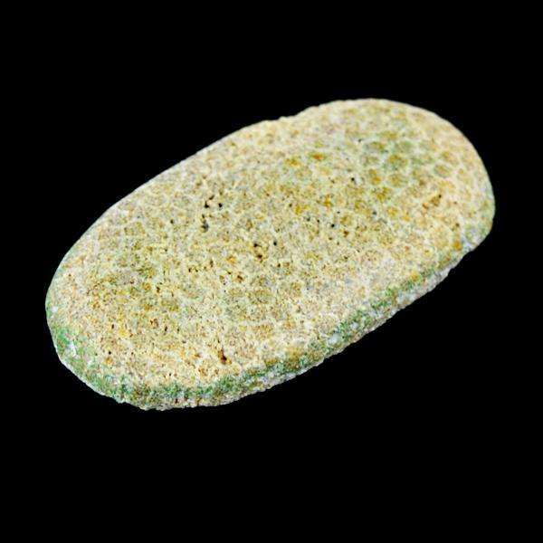 gemsmore:Amazing Coral Fossil Oval Shape Loose Gemstone