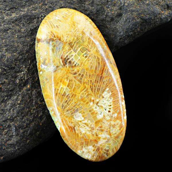 gemsmore:Amazing Coral Fossil Oval Shape Untreated Loose Gemstone