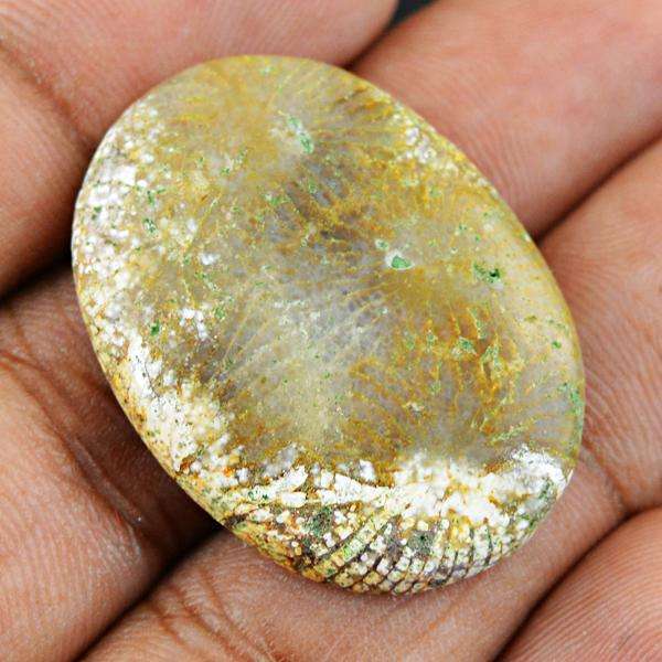gemsmore:Amazing Coral Fossil Oval Shape Untreated Loose Gemstone