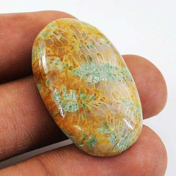 gemsmore:Amazing Coral Fossil Oval Shape Untreated Loose Gemstone