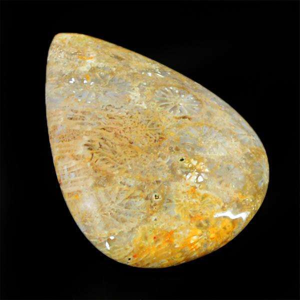gemsmore:Amazing Coral Fossil Pear Shape Loose Gemstone