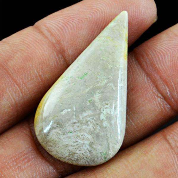 gemsmore:Amazing Coral Fossil Pear Shape Loose Gemstone