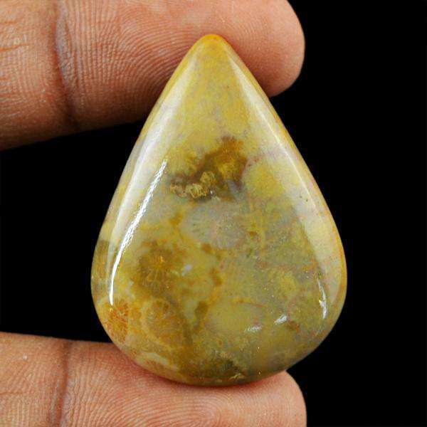 gemsmore:Amazing Coral Fossil Pear Shape Loose Gemstone