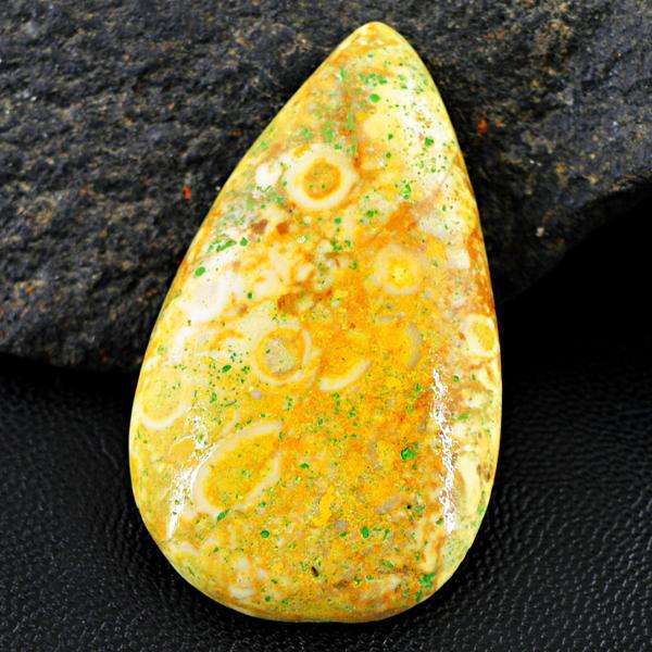 gemsmore:Amazing Coral Fossil Pear Shape Untreated Loose Gemstone