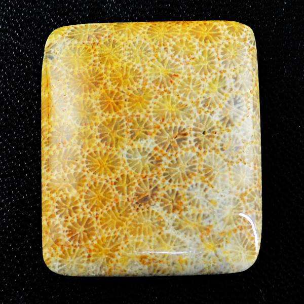 gemsmore:Amazing Coral Fossil Untreated Loose Gemstone