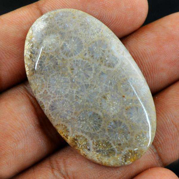 gemsmore:Amazing Genuine Coral Fossil Oval Shape Loose Gemstone