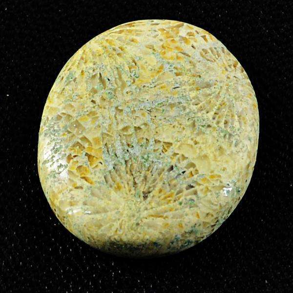 gemsmore:Amazing Genuine Coral Fossil Oval Shape Untreated Loose Gemstone