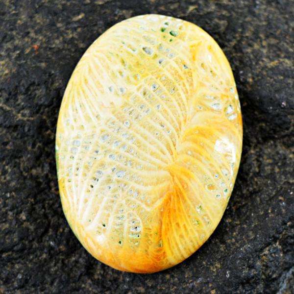 gemsmore:Amazing Genuine Coral Fossil Oval Shape Untreated Loose Gemstone