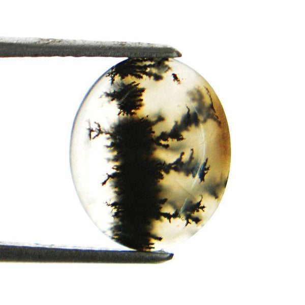 gemsmore:Amazing Genuine Oval Shape Dendrite Opal Untreated Loose Gemstone