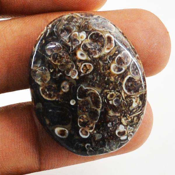 gemsmore:Amazing Genuine Turitella Agate Oval Shape Untreated Loose Gemstone