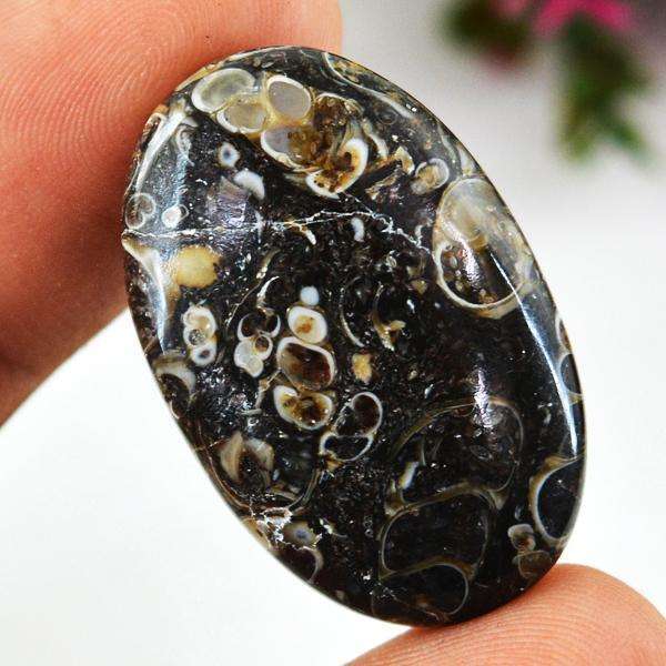gemsmore:Amazing Genuine Turitella Agate Oval Shape Untreated Loose Gemstone