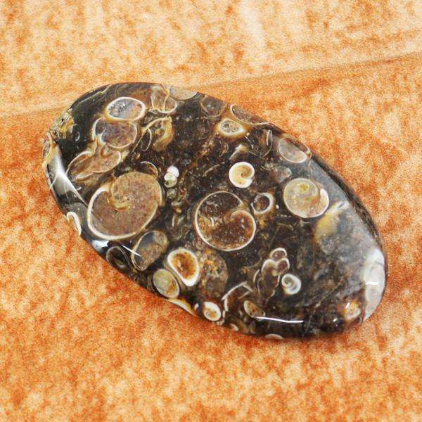 gemsmore:Amazing Genuine Turitella Agate Oval Shape Untreated Loose Gemstone