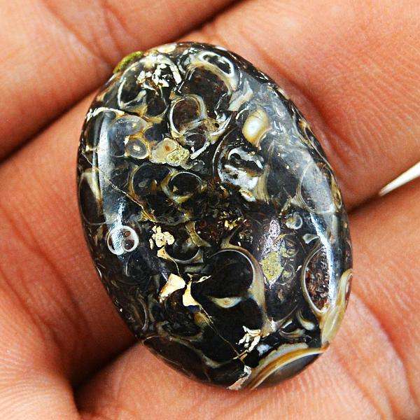 gemsmore:Amazing Genuine Turritella Agate Oval Shape Untreated Loose Gemstone