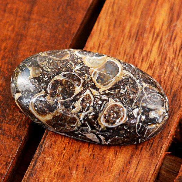 gemsmore:Amazing Genuine Turritella Agate Oval Shape Untreated Loose Gemstone