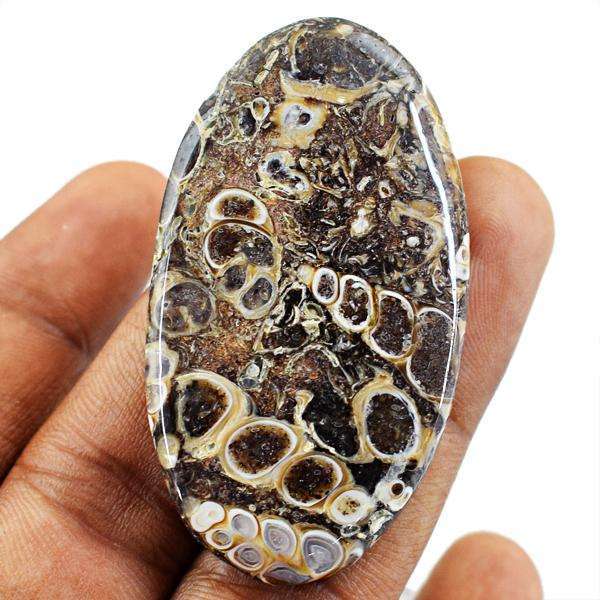 gemsmore:Amazing Genuine Turritella Agate Oval Shape Untreated Loose Gemstone