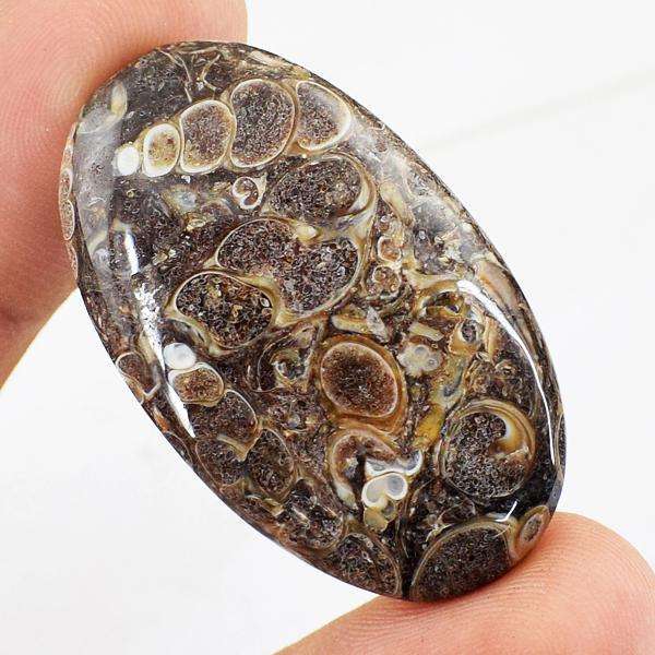 gemsmore:Amazing Genuine Turritella Agate Oval Shape Untreated Loose Gemstone