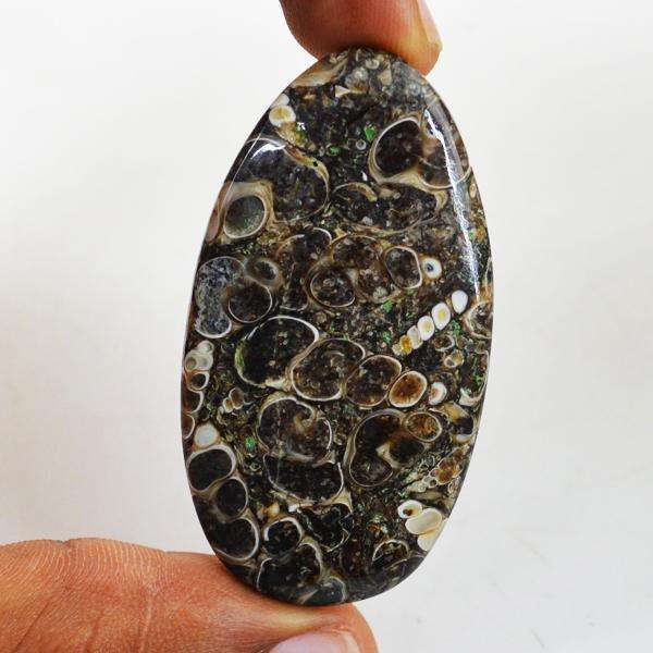 gemsmore:Amazing Genuine Turritella Agate Untreated Loose Gemstone