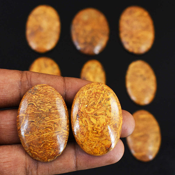 gemsmore:Amazing Golden Art Jasper Untreated Gemstone Cabochon Lot