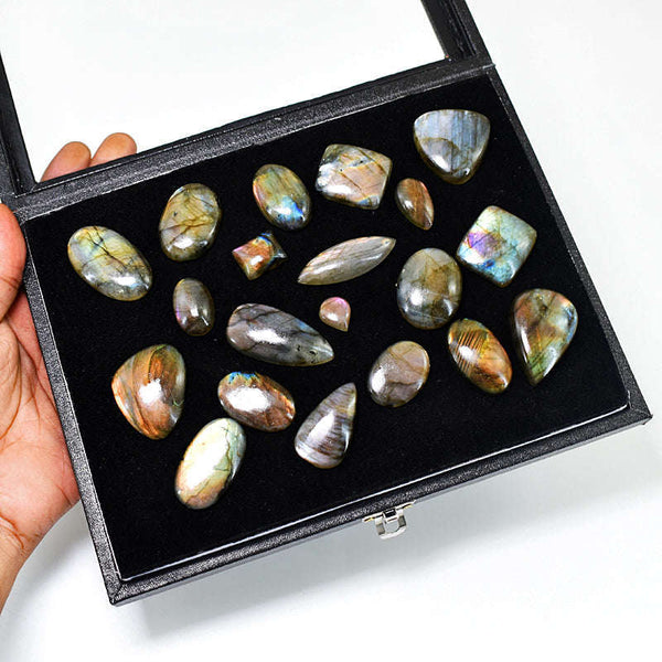 gemsmore:Amazing Labradorite Untreated Gemstone Cabochon Lot