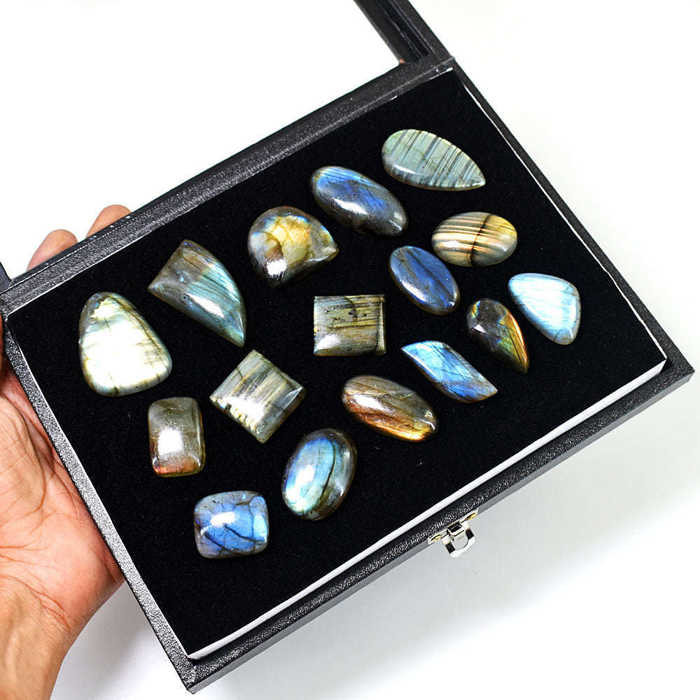 gemsmore:Amazing Labradorite Untreated Gemstone Cabochon Lot