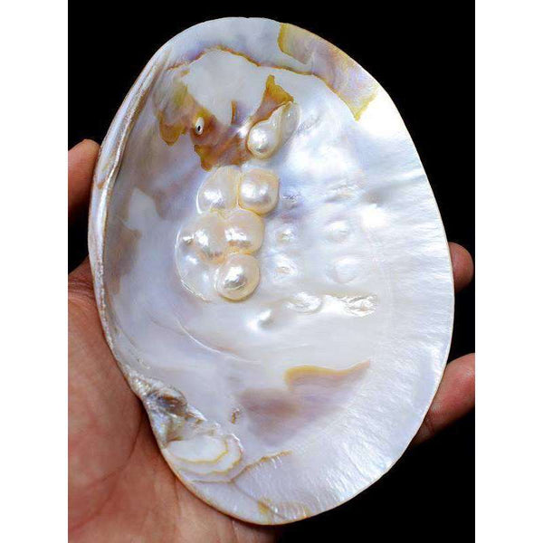 gemsmore:Amazing Mother Pearl Craftsmen Carved Plate
