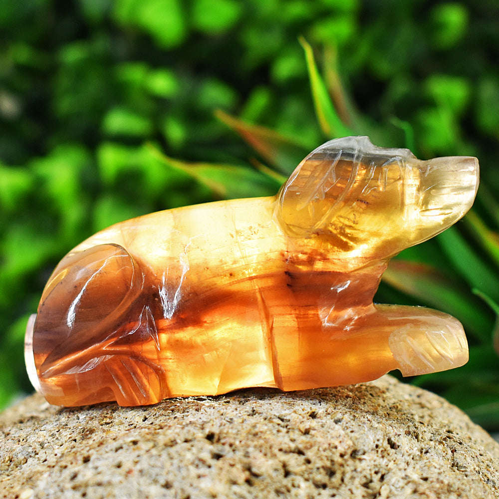 gemsmore:Amazing Multicolor Fluorite Hand Carved Genuine Crystal Gemstone Carving Dog