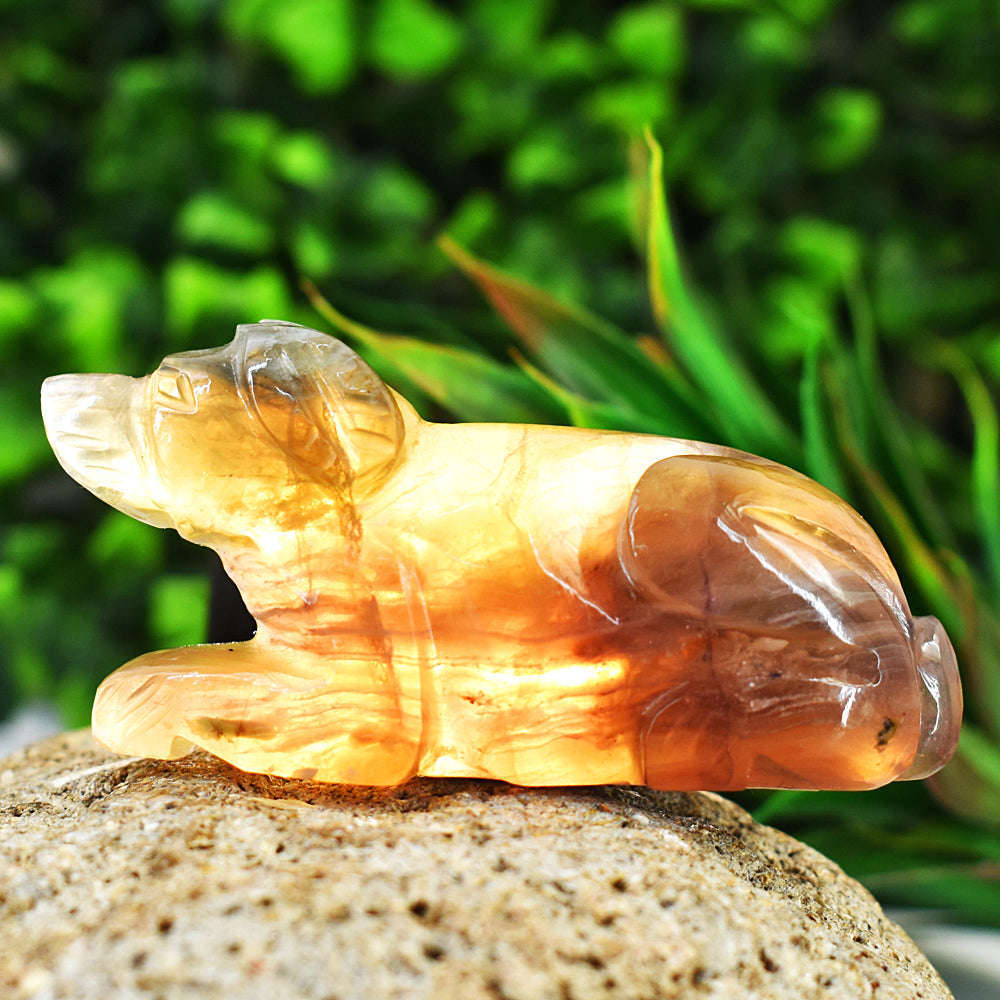 gemsmore:Amazing Multicolor Fluorite Hand Carved Genuine Crystal Gemstone Carving Dog