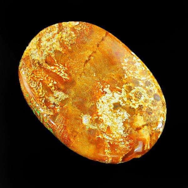 gemsmore:Amazing Natural Coral Fossil Oval Shape Loose Gemstone