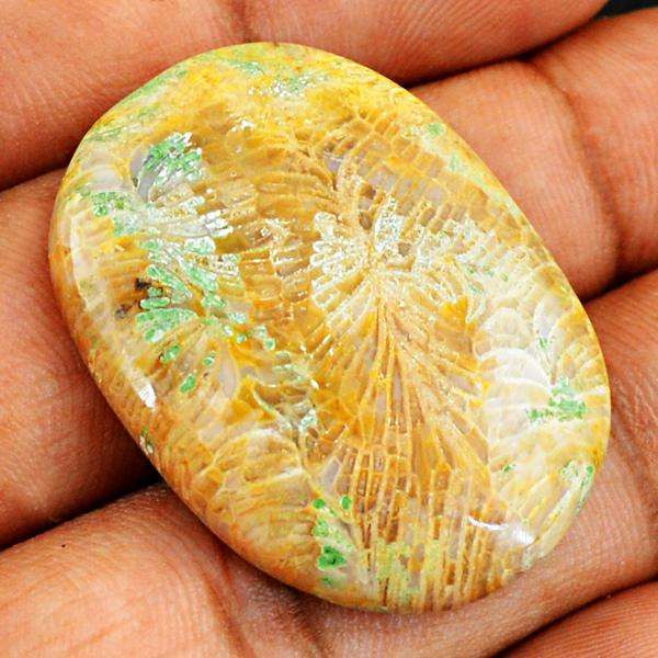 gemsmore:Amazing Natural Coral Fossil Oval Shape Loose Gemstone