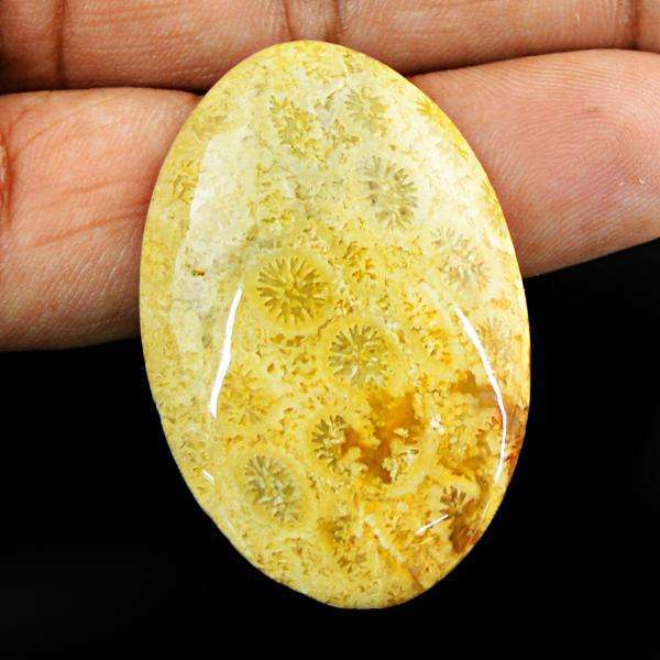 Amazing Natural Coral Fossil Oval Shape Untreated Loose Gemstone