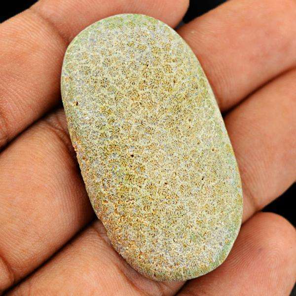 gemsmore:Amazing Natural Coral Fossil Oval Shape Untreated Loose Gemstone