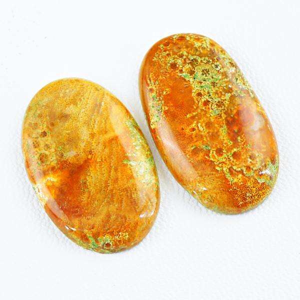 gemsmore:Amazing Natural Coral Fossil Oval Shape Untreated Loose Gemstone Lot