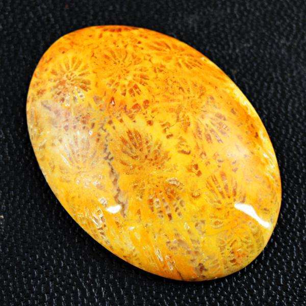 gemsmore:Amazing Natural Coral Fossil Oval Shape Untreated Loose Gemstone