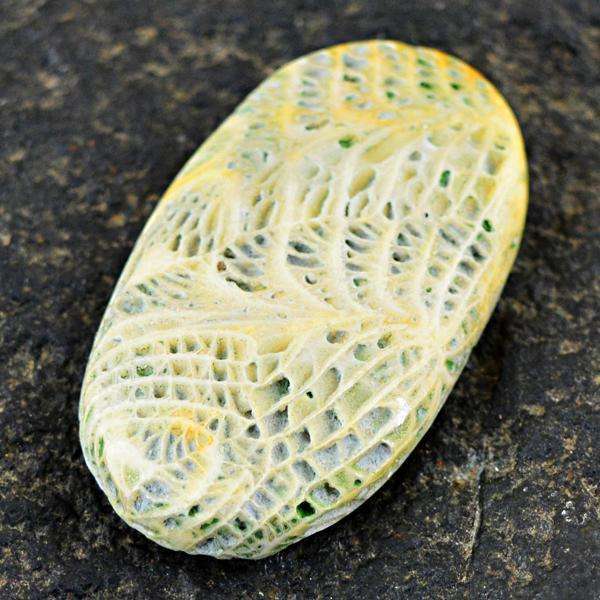 gemsmore:Amazing Natural Coral Fossil Oval Shape Untreated Loose Gemstone