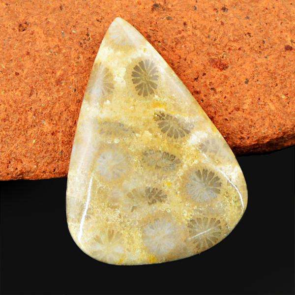 gemsmore:Amazing Natural Coral Fossil Pear Shape Loose Gemstone