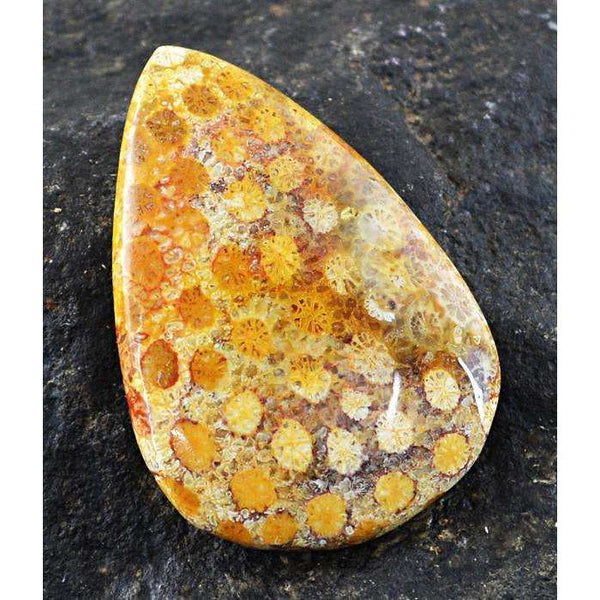 gemsmore:Amazing Natural Coral Fossil Pear Shape Loose Gemstone