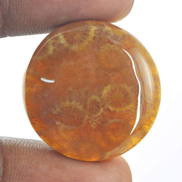 gemsmore:Amazing Natural Coral Fossil Round Shape Gemstone