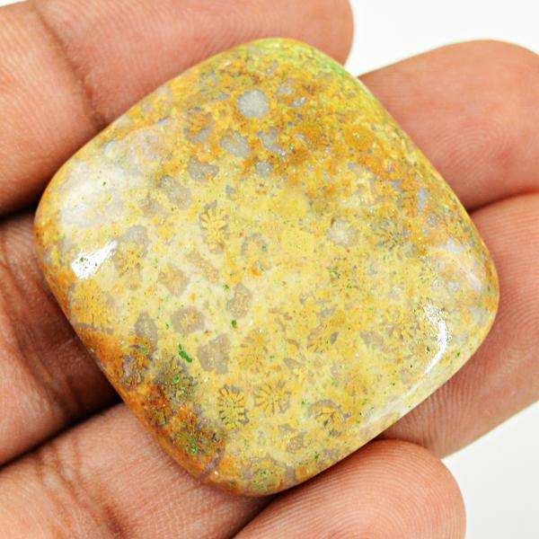 gemsmore:Amazing Natural Coral Fossil Untreated Loose Gemstone