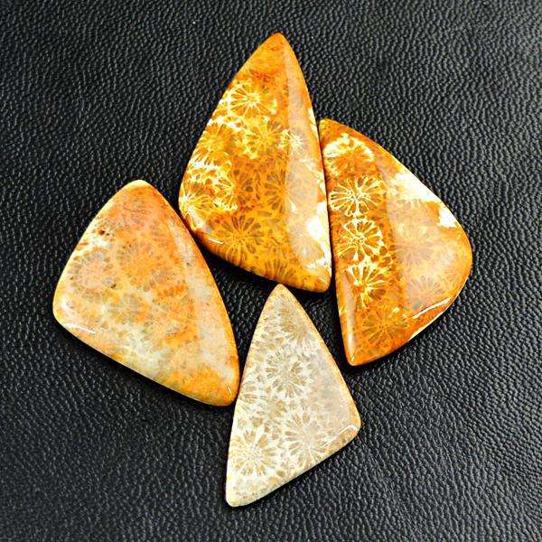 gemsmore:Amazing Natural Coral Fossil Untreated Loose Gemstone Lot