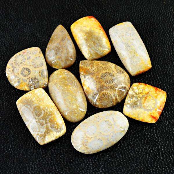 gemsmore:Amazing Natural Coral Fossil Untreated Loose Gemstone Lot