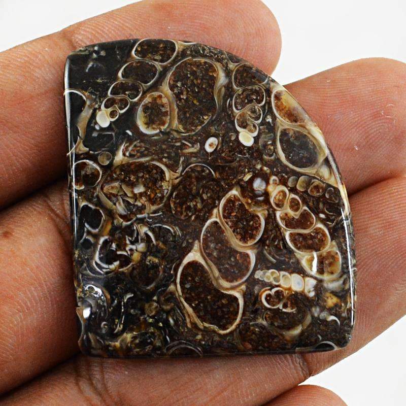 gemsmore:Amazing Natural Crinoid Fossil Gemstone