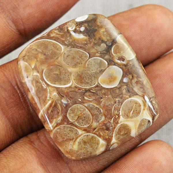 gemsmore:Amazing Natural Crinoid Fossil Loose Gemstone