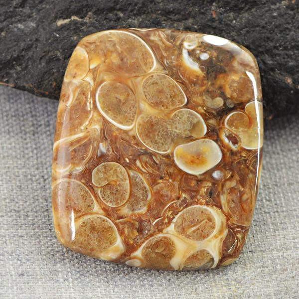 gemsmore:Amazing Natural Crinoid Fossil Loose Gemstone