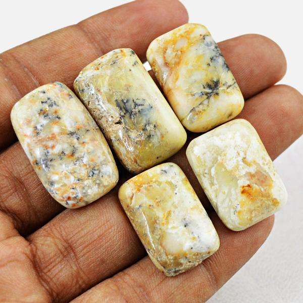 gemsmore:Amazing Natural Dendrite Opal Gemstone Lot
