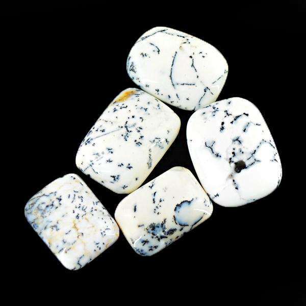 gemsmore:Amazing Natural Dendrite Opal Untreated Loose Gemstone Lot